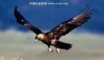 福耀玻璃工业集团通过TS16949质量管理体系认证 中鸿认证咨询的专业助力